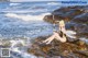 A woman sitting on a rock by the ocean holding a sword.